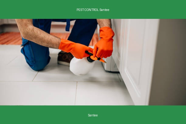 PEST CONTROL Santee